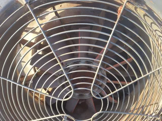 Nobili Fan Sprayer Head only For Sale (014722)