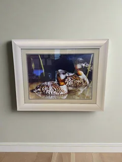 Framed Art Print of Ducks - Elegant White Frame, Minor Scuffs- A55952