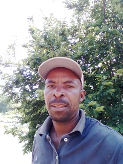 Gardening and landscaping