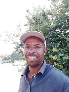 Gardening and landscaping