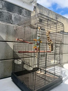 Large bird cage