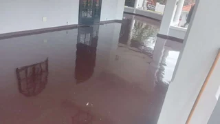 specialise in floor and deco wall finishes