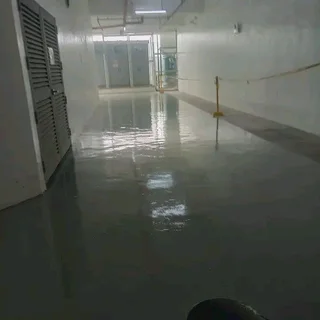 Specialise in decorative walls and floor finishing