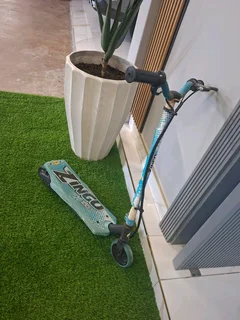 Electric scooter