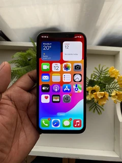 iPhone X 256GB