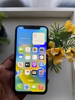 iPhone X 256GB