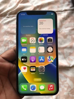 iPhone X