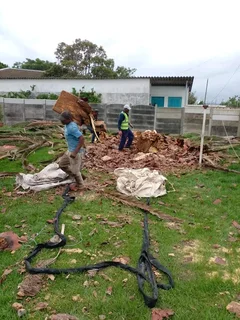 ROOTS AND ALL TREE FELLING SERVICES: ( 068 211 1264 ) FREE QUOTES FOR AFFORDABLE PRICE