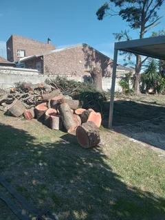 ROOTS AND ALL TREE FELLING SERVICES: ( 068 211 1264 ) FREE QUOTES FOR AFFORDABLE PRICE