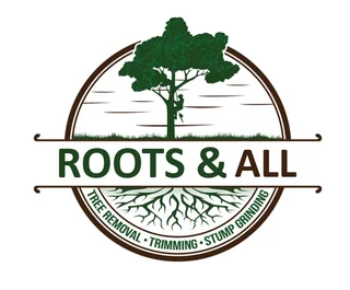 Roots And All Tree Felling Services: ( 068 211 1264  ) Free Quotes For Affordable Price