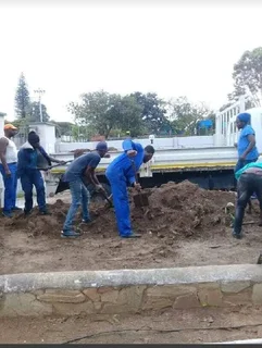 ROOTS AND ALL TREE FELLING SERVICES: ( 068 211 1264  ) FREE QUOTES FOR AFFORDABLE PRICE