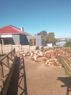 ROOTS AND ALL TREE FELLING SERVICES: ( 068 211 1264  ) FREE QUOTES FOR AFFORDABLE PRICE