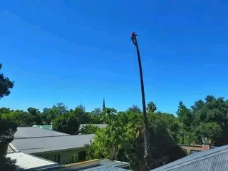 ROOTS AND ALL TREE FELLING SERVICES: ( 068 211 1264 ) FREE QUOTES FOR AFFORDABLE PRICE