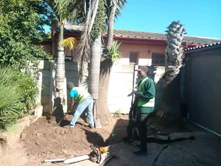 ROOTS AND ALL TREE FELLING SERVICES: ( 068 211 1264 ) FREE QUOTES FOR AFFORDABLE PRICE