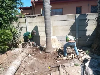 ROOTS AND ALL TREE FELLING SERVICES: ( 068 211 1264 ) FREE QUOTES FOR AFFORDABLE PRICE