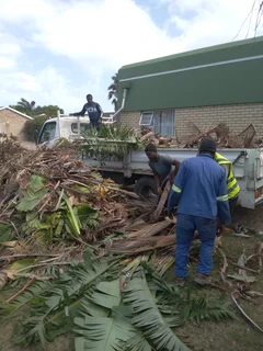 ROOTS AND ALL TREE FELLING SERVICES: ( 068 211 1264  ) FREE QUOTES FOR AFFORDABLE PRICE