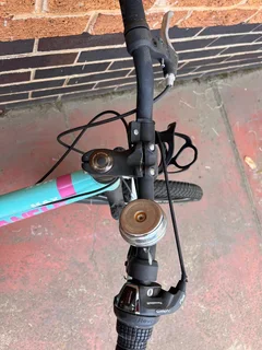 Turquoise Avalanche Max Bicycle ″20