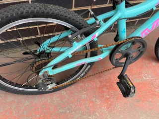 Turquoise Avalanche Max Bicycle ″20