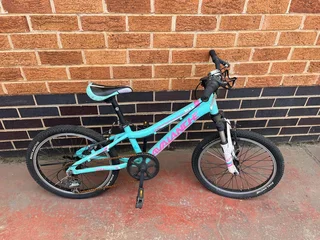 Turquoise Avalanche Max Bicycle ″20