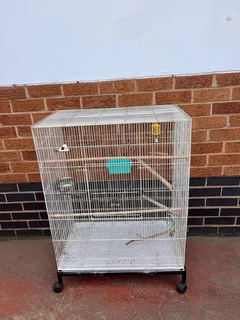 Large bird cage