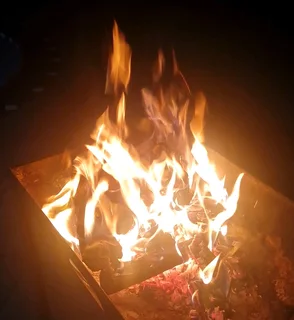 Dry braai wood for sale R45/ 8kg bag