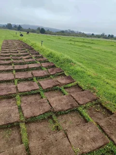 We Sell, Deliver And Install Grass