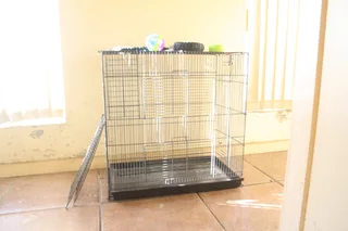 Large rat cage &#43; small carry cage