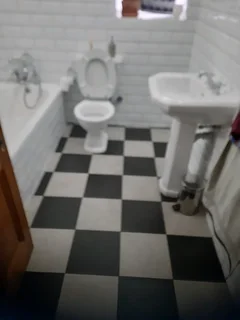 Looking for a handyman job