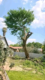 N-M TREE FELLING &amp; GARDEN SERVICE