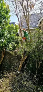 N-M TREE FELLING &amp; GARDEN SERVICE