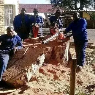 N-M TREE FELLING &amp; GARDEN SERVICE