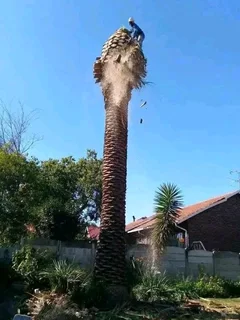 N-M TREE FELLING &amp; GARDEN SERVICE