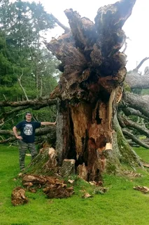 N-M TREE FELLING &amp; GARDEN SERVICE