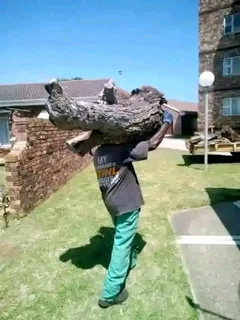 N-M TREE FELLING &amp; GARDEN SERVICE