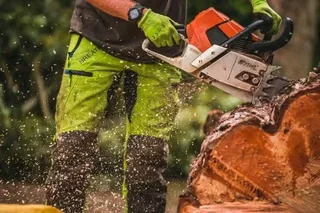 N-m Tree Felling  071-976-3364