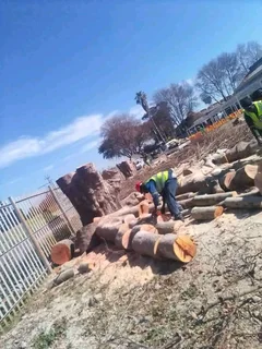 N-M TREE FELLING  071-976-3364