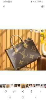 Louis vuitton handbag