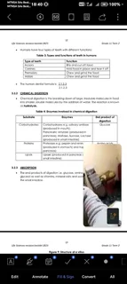 Online Tutoring (Grade 7 to 12 including adult matric)