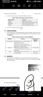 Online Tutoring (Grade 7 to 12 including adult matric)