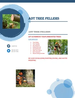 Tree felling