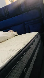 Sealy bamboo queen bed and headboard R 5000