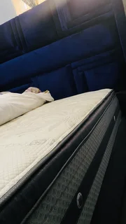 Sealy bamboo queen bed and headboard R 5000