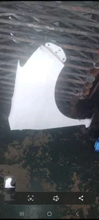 Fender Toyota Ayga  fender