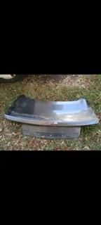 Ford mustang tailgate