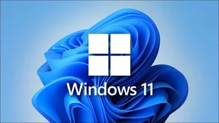 Windows 10/11 Pro Installation & Updates R100 only