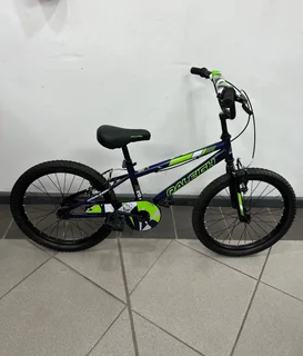 Raleigh 20&#34; Quest kids bicycle - REF NO 4473 Now selling for only R1000.00 No: 072 179 4070