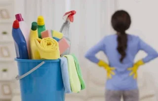 Agency for domestic workers