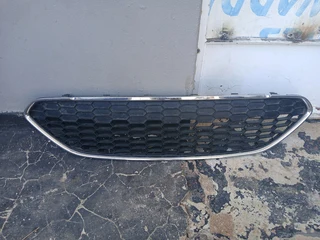 Ford Focus Grill