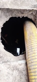 Honey Sucker for hire