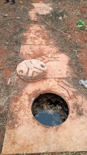 Honey Sucker for hire